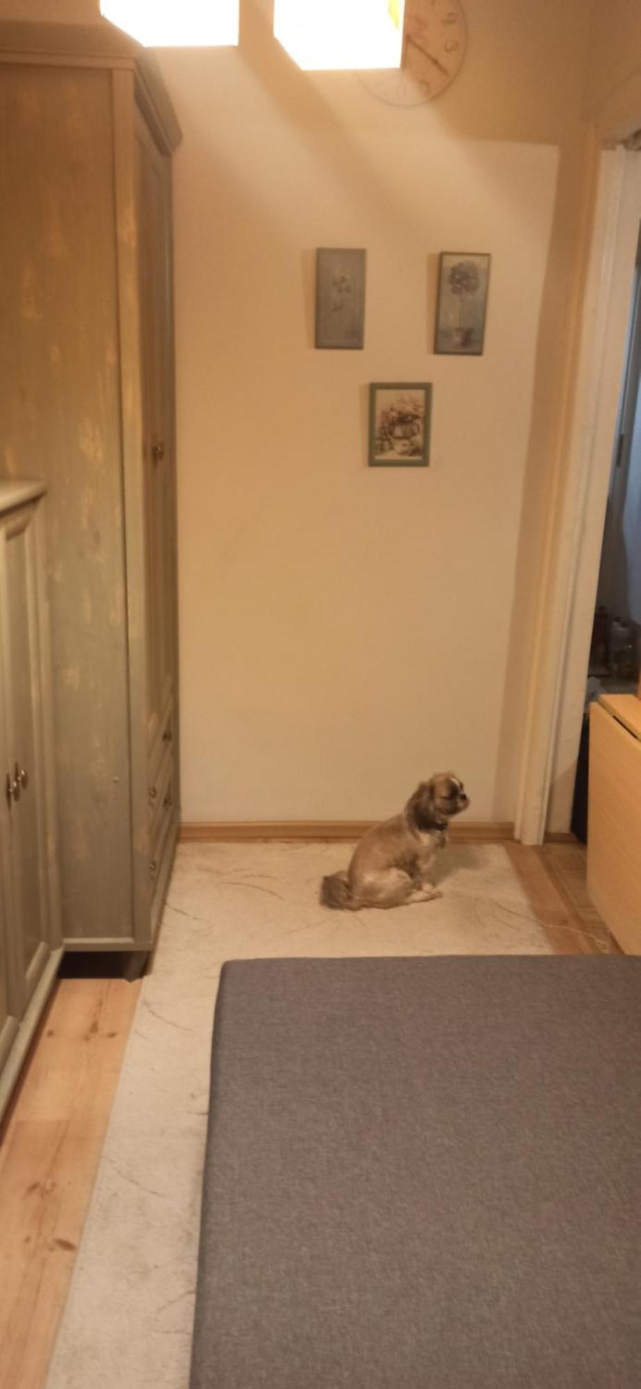 Appartement Cichy Zakatek Kołobrzeg Extérieur photo